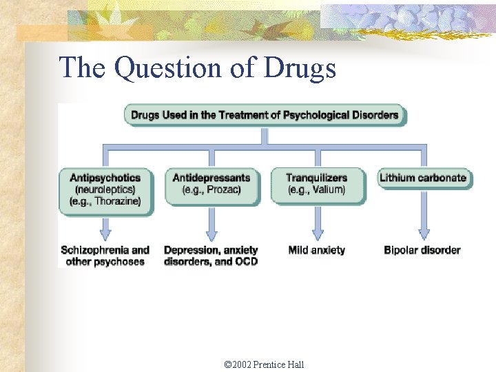 The Question of Drugs © 2002 Prentice Hall 
