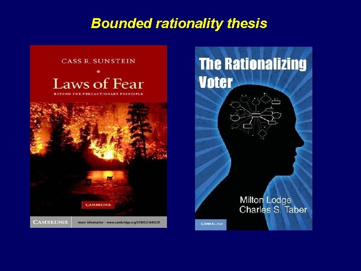 Bounded rationality thesis 