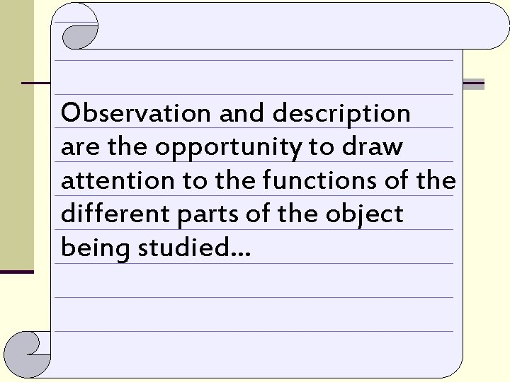 Observation and description are the opportunity to draw attention to the functions of the