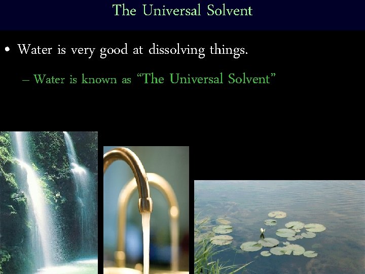 The Universal Solvent • Water is very good at dissolving things. – Water is