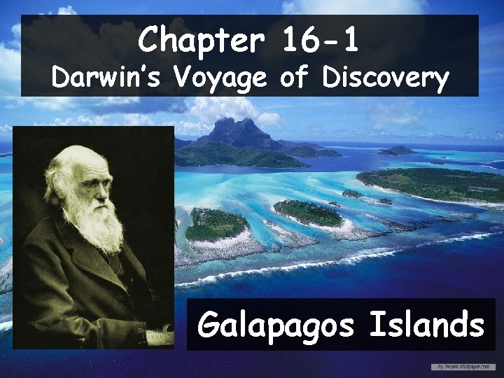 Chapter 16 -1 Darwin’s Voyage of Discovery Galapagos Islands 