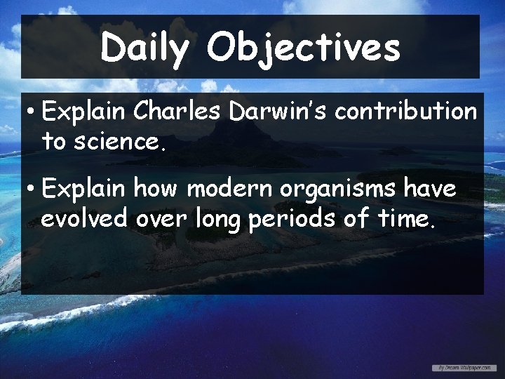 Daily Objectives • Explain Charles Darwin’s contribution to science. • Explain how modern organisms