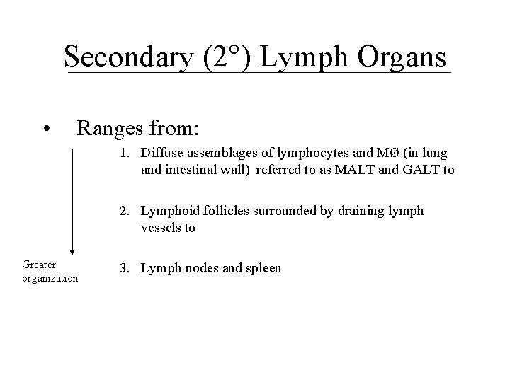 Secondary (2°) Lymph Organs • Ranges from: 1. Diffuse assemblages of lymphocytes and MØ