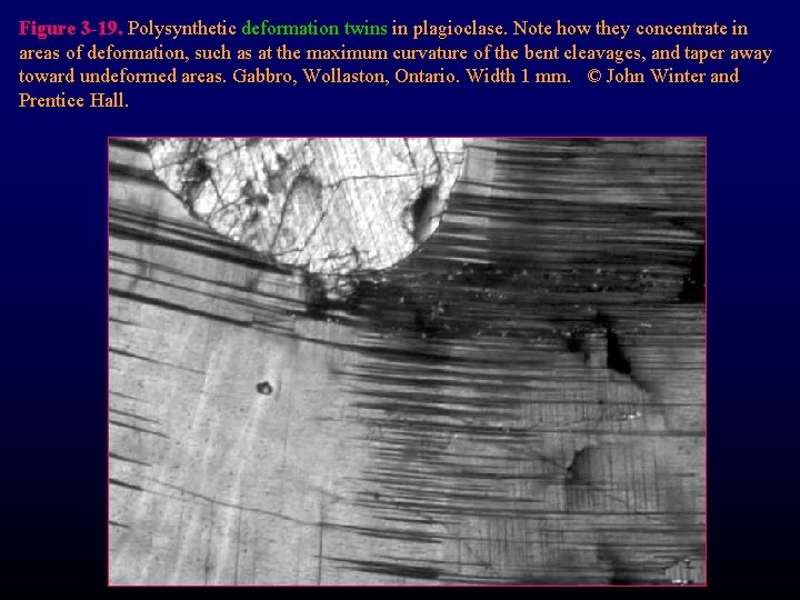 Figure 3 -19. Polysynthetic deformation twins in plagioclase. Note how they concentrate in areas Figure 3 -19. Polysynthetic deformation twins in plagioclase. Note how they concentrate in areas