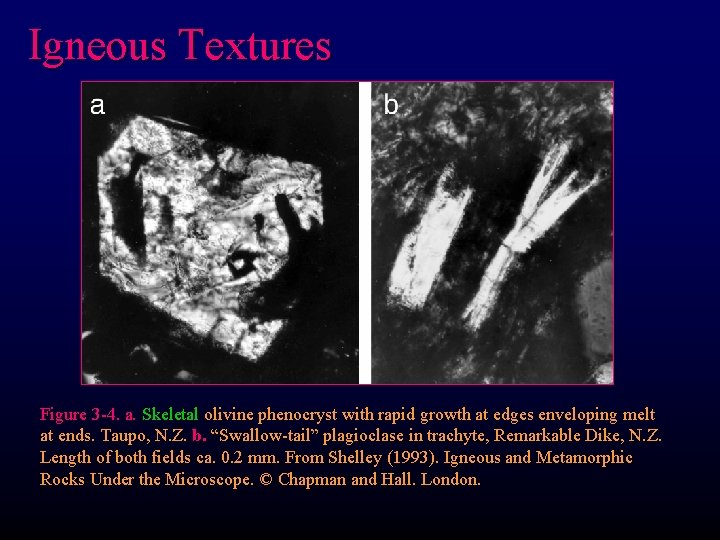 Igneous Textures Figure 3 -4. a. Skeletal olivine phenocryst with rapid growth at edges