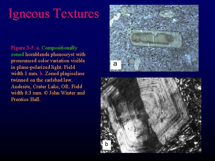 Igneous Textures Figure 3 -5. a. Compositionally zoned hornblende phenocryst with pronounced color variation