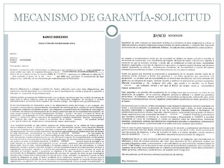 MECANISMO DE GARANTÍA-SOLICITUD 