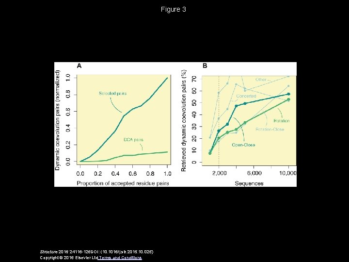 Figure 3 Structure 2016 24116 -126 DOI: (10. 1016/j. str. 2015. 10. 025) Copyright