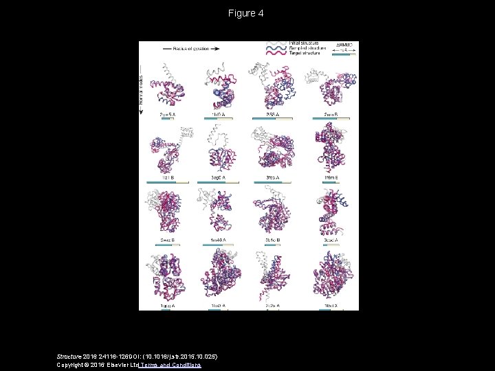 Figure 4 Structure 2016 24116 -126 DOI: (10. 1016/j. str. 2015. 10. 025) Copyright