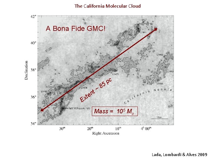 The California Molecular Cloud A Bona Fide GMC! t~ c p 5 8 n