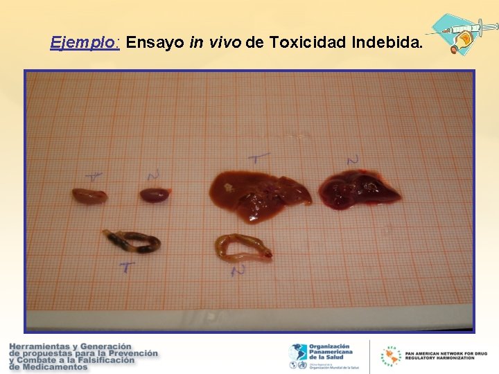 Ejemplo: Ensayo in vivo de Toxicidad Indebida. 