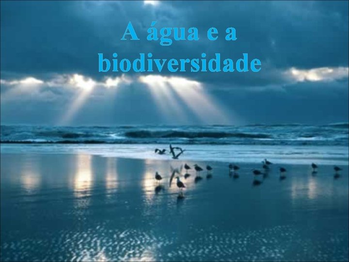 A água e a biodiversidade 