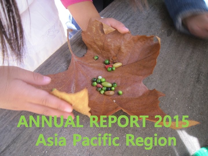 ANNUAL REPORT 2015 Asia Pacific Region 