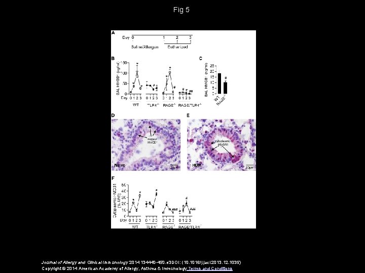 Fig 5 Journal of Allergy and Clinical Immunology 2014 134440 -450. e 3 DOI: