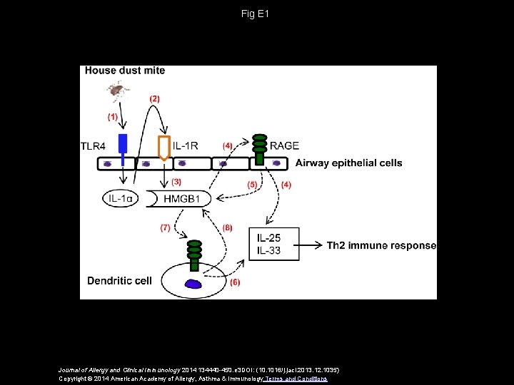 Fig E 1 Journal of Allergy and Clinical Immunology 2014 134440 -450. e 3