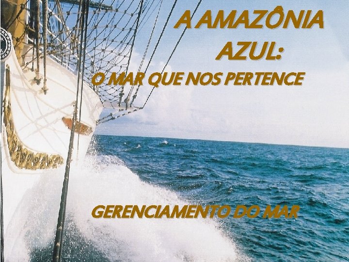 A AMAZÔNIA AZUL: O MAR QUE NOS PERTENCE GERENCIAMENTO DO MAR 