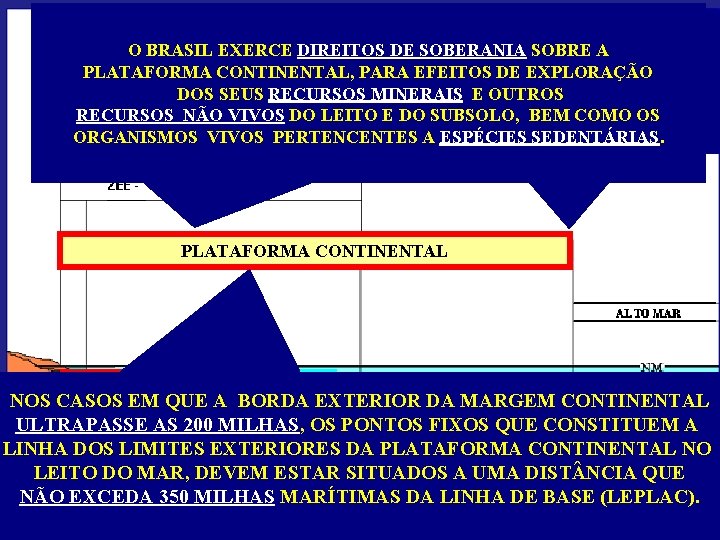 O LEITO E O SUBSOLO DAS ÁREAS O BRASILCOMPREENDE EXERCE DIREITOS DE SOBERANIA SOBRE