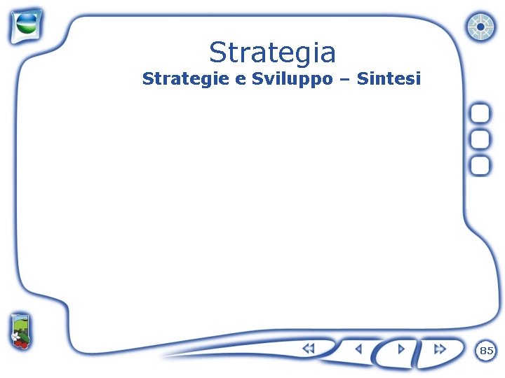 Strategia Strategie e Sviluppo – Sintesi 85 