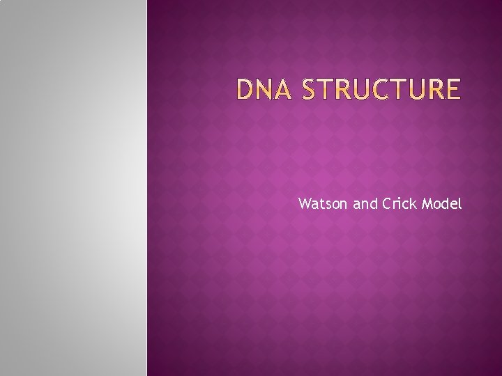 Watson and Crick Model 