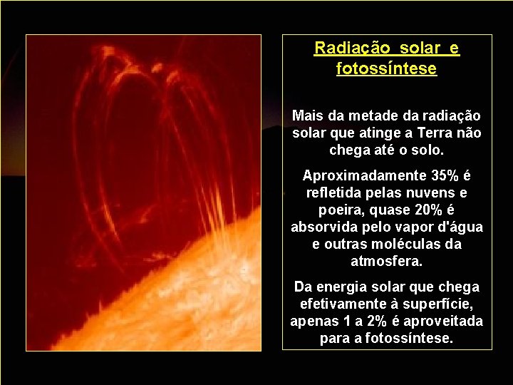 Radiação solar e fotossíntese Mais da metade da radiação solar que atinge a Terra