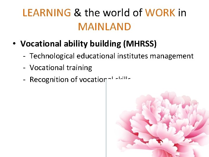 LEARNING & the world of WORK in MAINLAND • Vocational ability building (MHRSS) - LEARNING & the world of WORK in MAINLAND • Vocational ability building (MHRSS) -