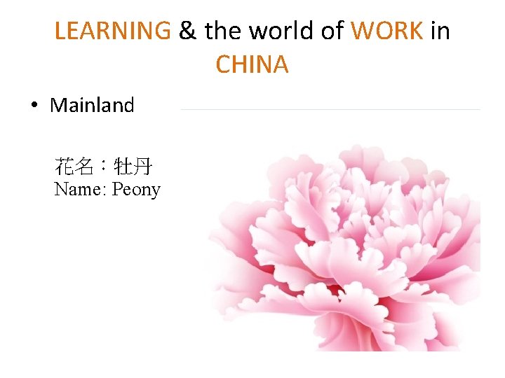 LEARNING & the world of WORK in CHINA • Mainland 花名:牡丹 Name: Peony LEARNING & the world of WORK in CHINA • Mainland 花名:牡丹 Name: Peony