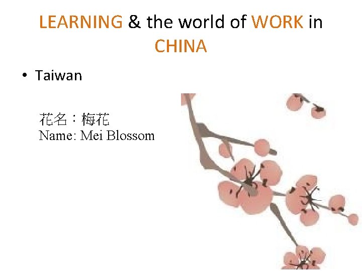 LEARNING & the world of WORK in CHINA • Taiwan 花名:梅花 Name: Mei Blossom LEARNING & the world of WORK in CHINA • Taiwan 花名:梅花 Name: Mei Blossom
