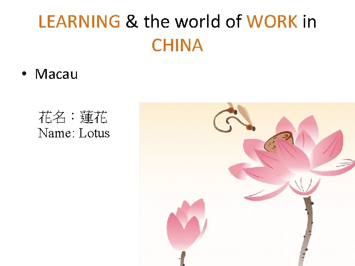 LEARNING & the world of WORK in CHINA • Macau 花名:蓮花 Name: Lotus LEARNING & the world of WORK in CHINA • Macau 花名:蓮花 Name: Lotus