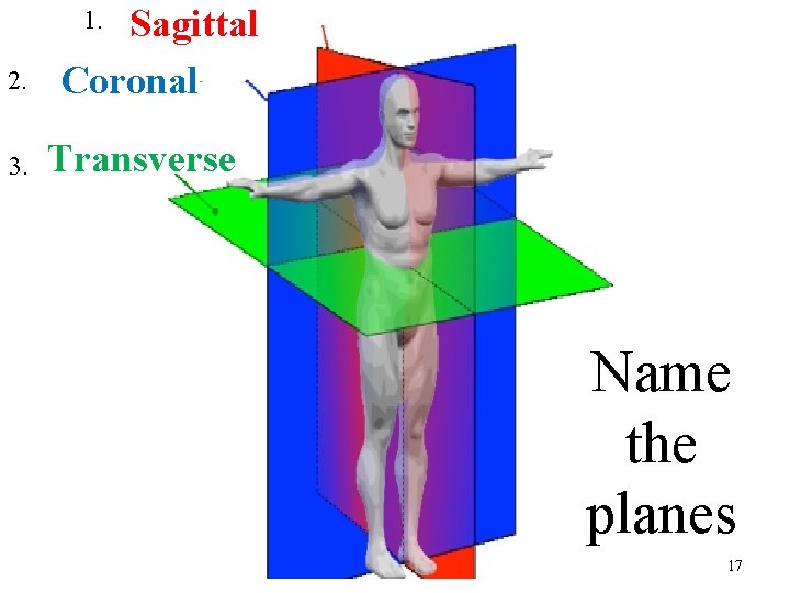 Sagittal Coronal 1. 2. 3. Transverse Name the planes 17 