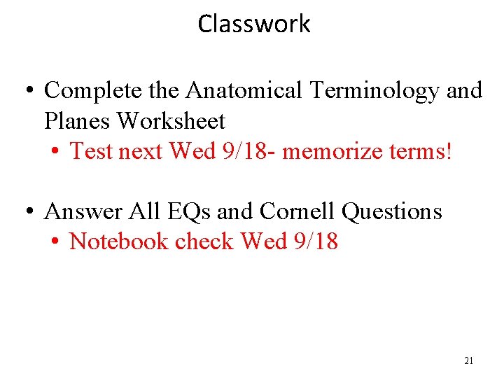 Classwork • Complete the Anatomical Terminology and Planes Worksheet • Test next Wed 9/18