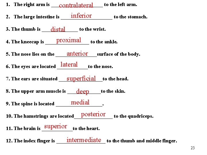 1. The right arm is __________ to the left arm. contralateral inferior 2. The