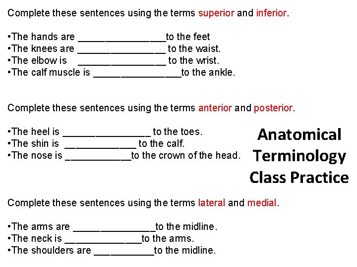 Complete these sentences using the terms superior and inferior. • The hands are ________to