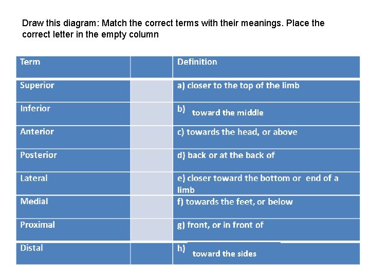 Draw this diagram: Match the correct terms with their meanings. Place the correct letter