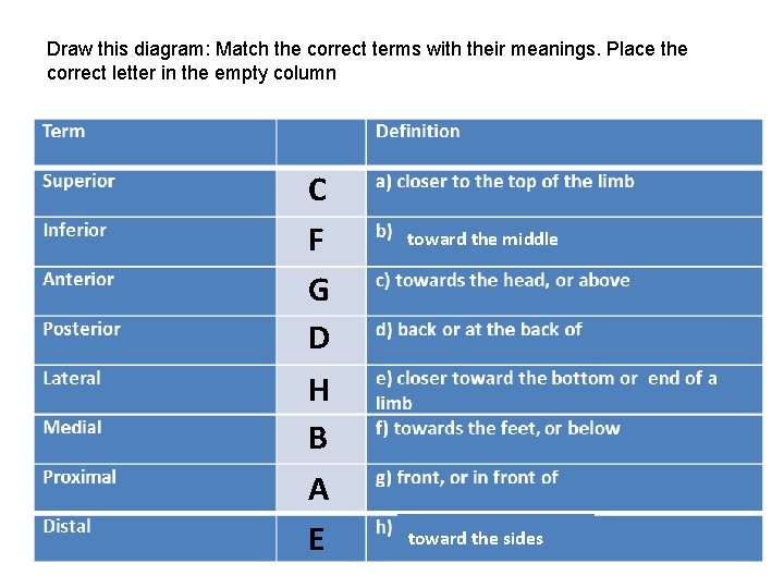 Draw this diagram: Match the correct terms with their meanings. Place the correct letter