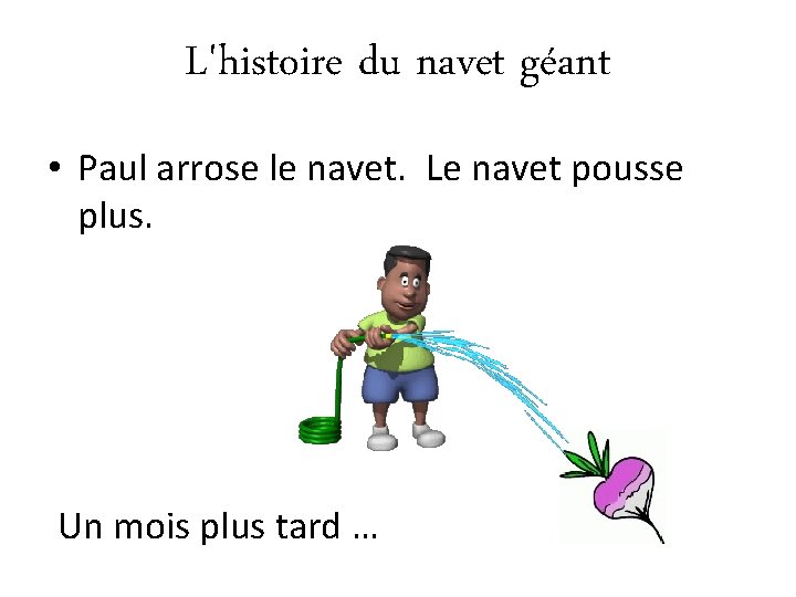 L'histoire du navet géant • Paul arrose le navet. Le navet pousse plus. Un