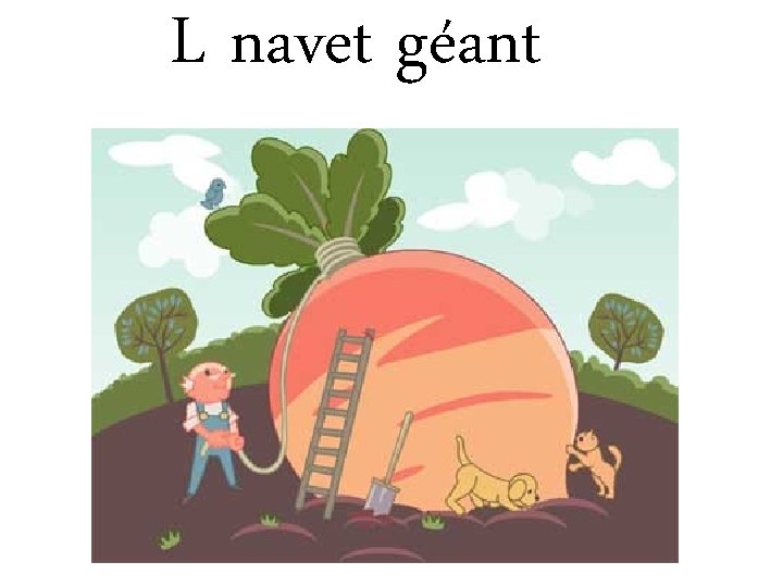 L navet géant 