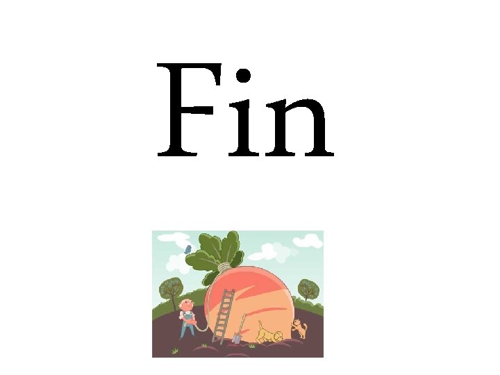 Fin 