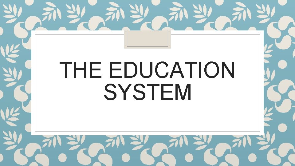 THE EDUCATION SYSTEM 