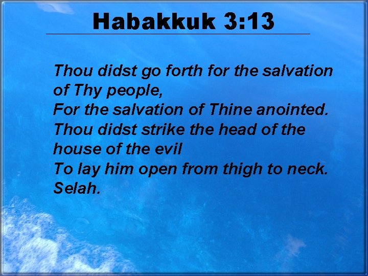 Habakkuk 3: 13 Thou didst go forth for the salvation of Thy people, For