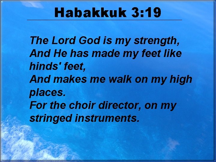 Habakkuk 3: 19 The Lord God is my strength, And He has made my