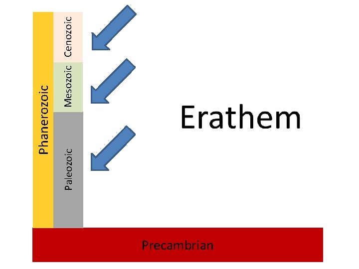 Precambrian Paleozoic Mesozoic Cenozoic Phanerozoic 