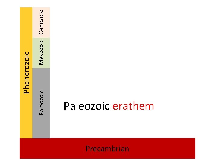 Mesozoic Cenozoic Phanerozoic Paleozoic erathem Precambrian 