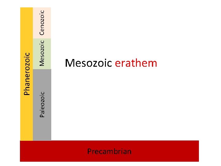 Paleozoic Mesozoic Cenozoic Phanerozoic Mesozoic erathem Precambrian 