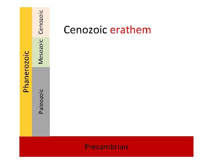 Paleozoic Mesozoic Cenozoic Phanerozoic Cenozoic erathem Precambrian 