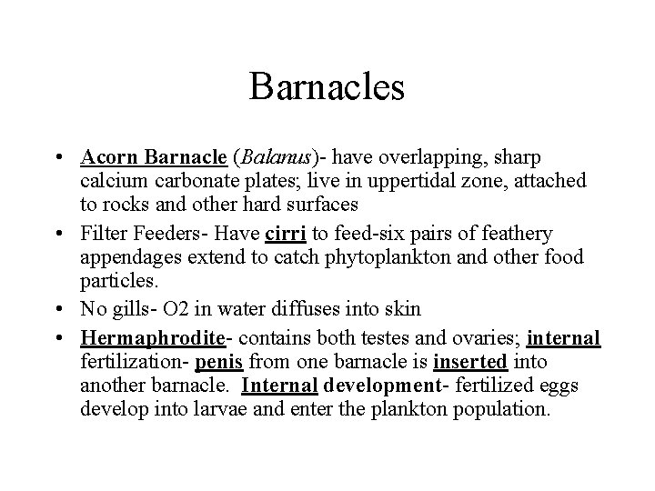 Barnacles • Acorn Barnacle (Balanus)- have overlapping, sharp calcium carbonate plates; live in uppertidal Barnacles • Acorn Barnacle (Balanus)- have overlapping, sharp calcium carbonate plates; live in uppertidal