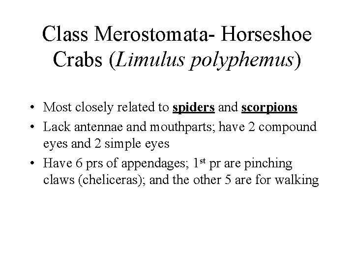 Class Merostomata- Horseshoe Crabs (Limulus polyphemus) • Most closely related to spiders and scorpions Class Merostomata- Horseshoe Crabs (Limulus polyphemus) • Most closely related to spiders and scorpions