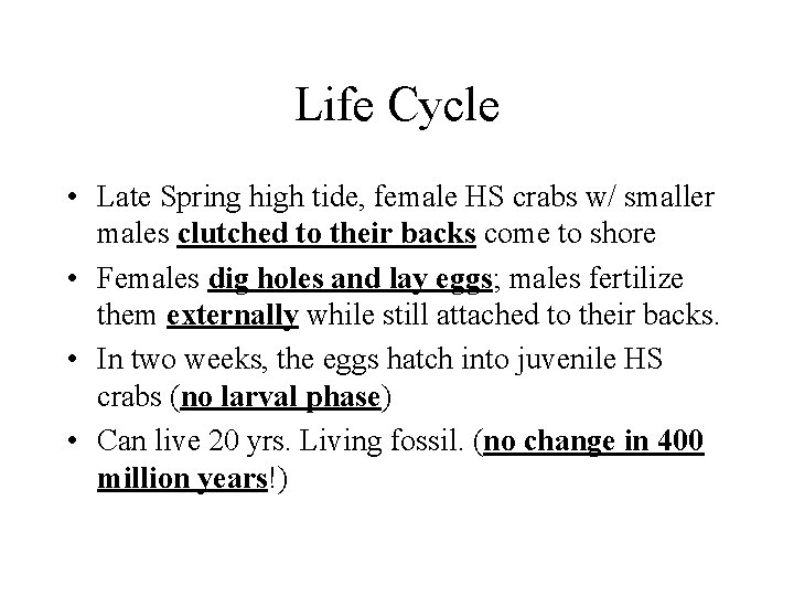 Life Cycle • Late Spring high tide, female HS crabs w/ smaller males clutched Life Cycle • Late Spring high tide, female HS crabs w/ smaller males clutched