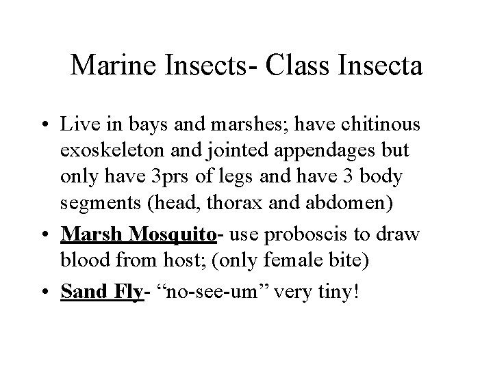 Marine Insects- Class Insecta • Live in bays and marshes; have chitinous exoskeleton and Marine Insects- Class Insecta • Live in bays and marshes; have chitinous exoskeleton and