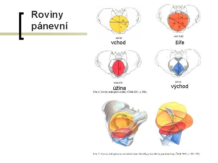 Roviny pánevní vchod šíře úžina východ 