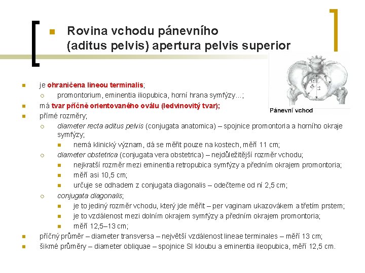 n n n Rovina vchodu pánevního (aditus pelvis) apertura pelvis superior je ohraničena lineou n n n Rovina vchodu pánevního (aditus pelvis) apertura pelvis superior je ohraničena lineou